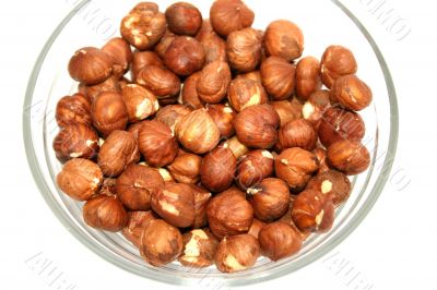 Hazelnuts
