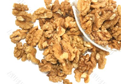 Walnut
