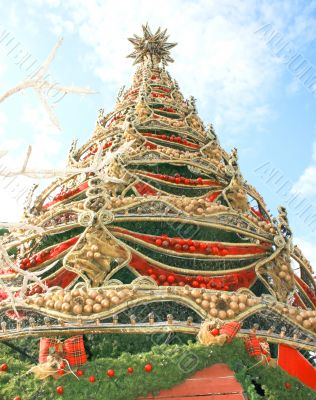 Fir tree
