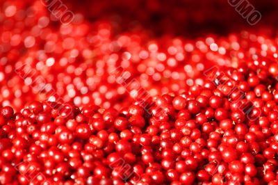 Cranberries