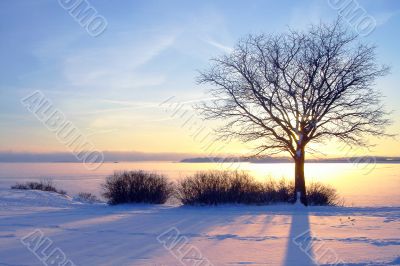Winter sunset in Finland
