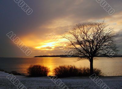 Gold Winter Sunset in Finland