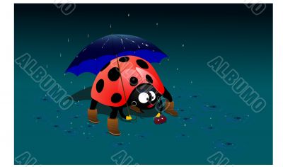 ladybird  under an umbrella