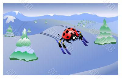 ladybird skier