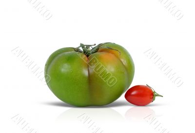 Green and red tomato