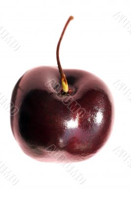 Cherry - 3