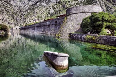 Kotor
