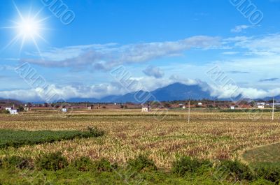 a beautiful rural landscape on a bright sunny day