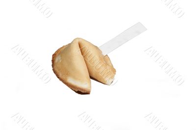 Fortune Cookie