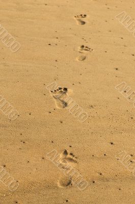 Footsteps