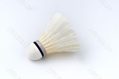 Shuttlecock