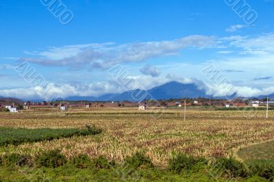 a beautiful rural landscape on a bright sunny day
