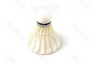 Shuttlecock