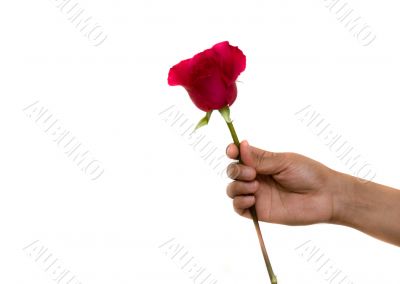Valentine
