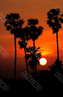 sunrise
