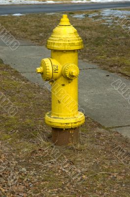 Fire Extinguisher