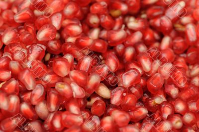 Pomegranate