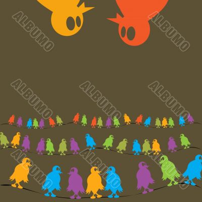 Birds chatting