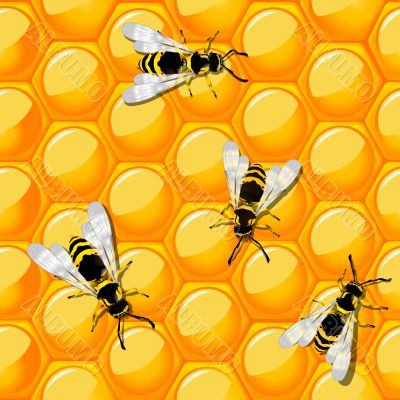Bees and honeycomb