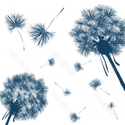 vector dandelion 