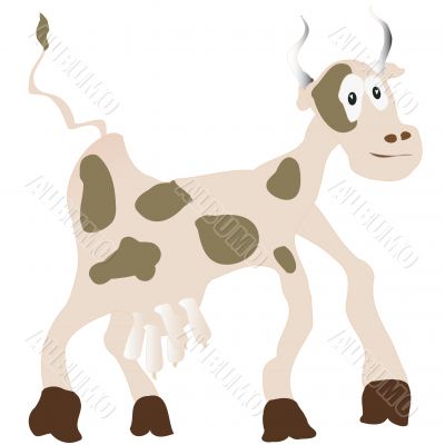 Funny cow