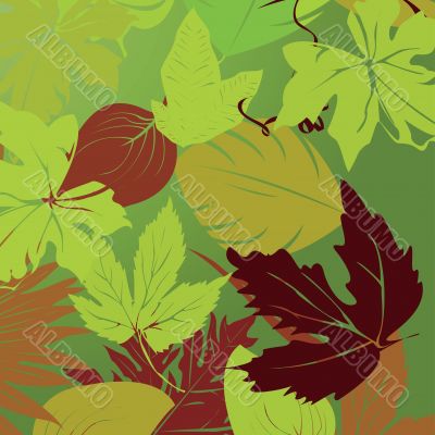 Leaves illustration