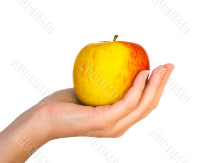 yellow apple on female palm