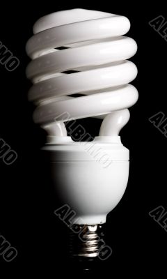 compact fluorescent light bulb