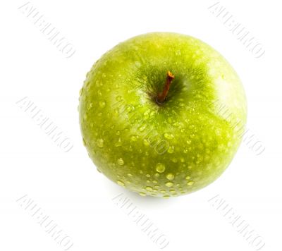 wet green apple