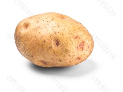 single potato in peel