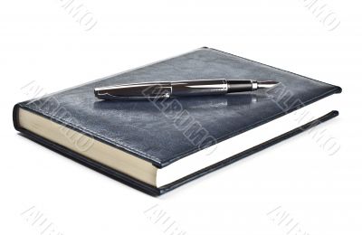 fountain pen on diary