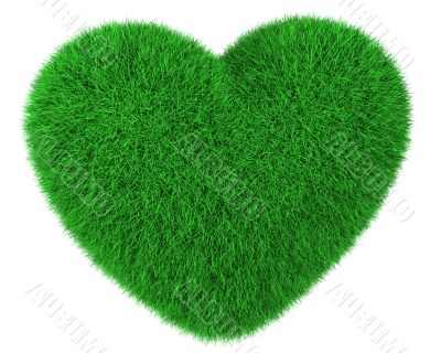 Heart made of green grass isolated