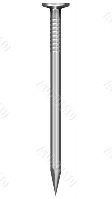 Steel shiny nail isolated on white 