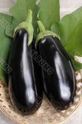 Eggplants.