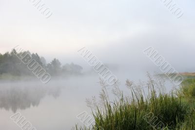 Morning river mist