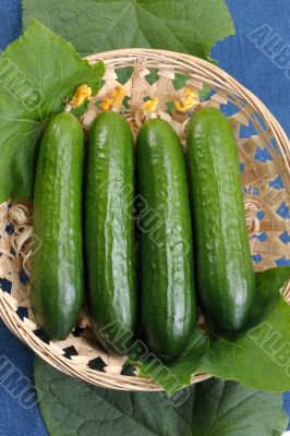 Cucumbers