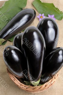 Eggplants.