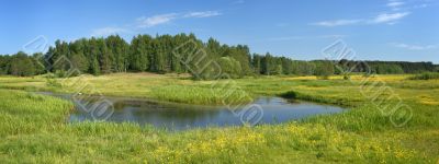 Landscape with a stream - a panorama.