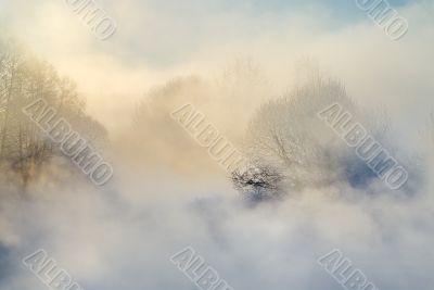 Frosty morning