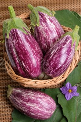 Eggplants.