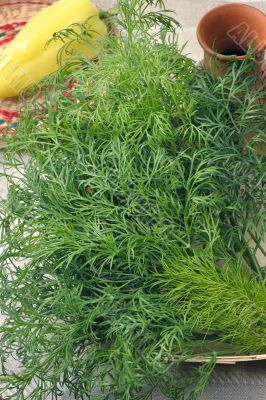 Dill