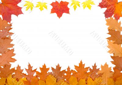 Ornament from autumn leaves