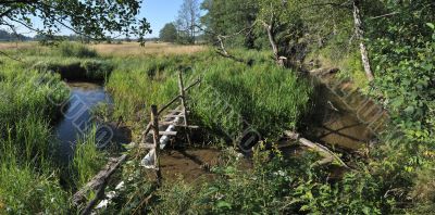 Panorama with a stream and the bridge.