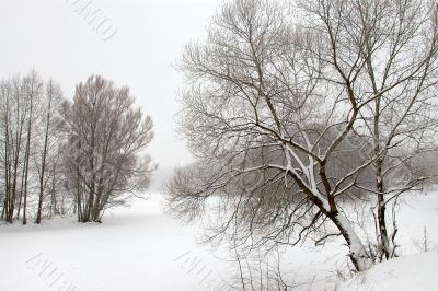 Drawing of winter