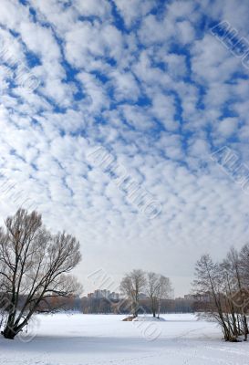 Clouds in the winter sky.