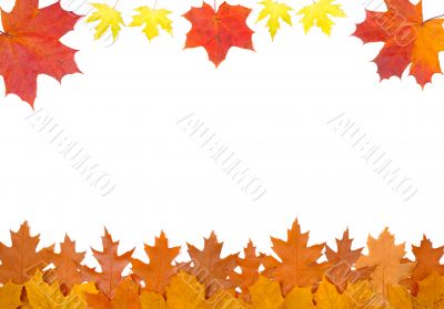 Ornament from autumn leaves