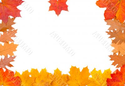 Ornament from autumn leaves