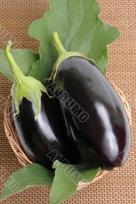 Eggplants.