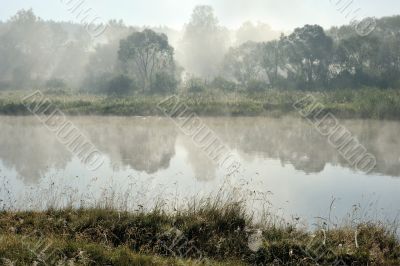 Morning on the river