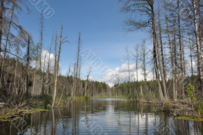 Wood lake